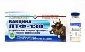 Вакцина ЛТФ-130, 20 доз Вакцина ЛТФ-130, 20 доз