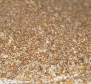 Ракушка кормовая, 1 кг Ракушка кормовая, 1 кг