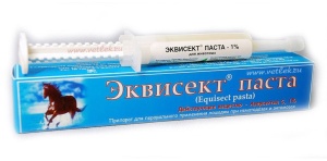 Эквисект паста, 14 гр шприц Эквисект паста, 14 гр шприц
