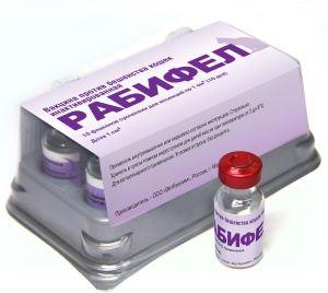 Вакцина Рабифел  Вакцина Рабифел