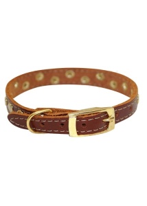 Ошейник 12 мм безразмерный с блочкой (В) Ошейник 12 мм безразмерный с блочкой (В)