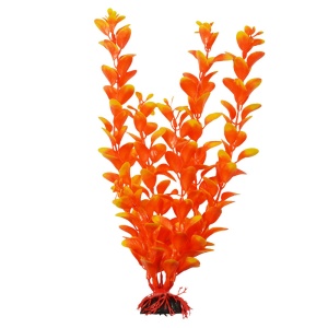 Растение "Перистолистник" оранжевая, 20 см, Laguna Растение "Перистолистник" оранжевая, 20 см, Laguna