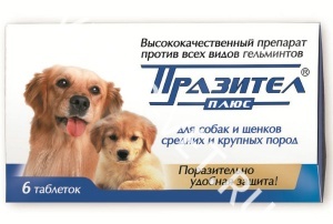 Празител Плюс для собак от 20 кг 6 таб. Празител Плюс для собак от 20 кг 6 таб.