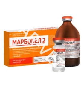 Марбобел 2 50 мл Марбобел 2 50 мл
