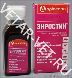 Энростин, 100 мл Энростин, 100 мл