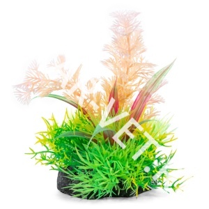 Растение светящ. Ассорти 120 мм Laguna Растение светящ. Ассорти 120 мм Laguna