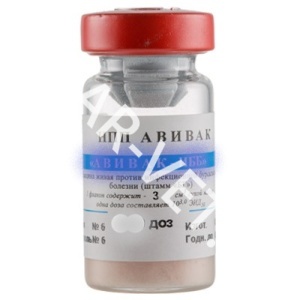 Вакцина против ИББ шт. "БГ" 1000 доз Вакцина против ИББ шт. "БГ" 1000 доз