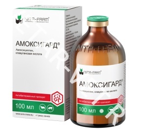 Амоксигард, 100 мл (по рецепту) Амоксигард, 100 мл (по рецепту)