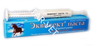 Эквисект паста, 14 гр шприц Эквисект паста, 14 гр шприц