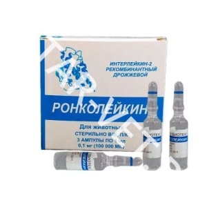 Ронколейкин 100 Тыс Ме вет, 1 ампула Ронколейкин 100 Тыс Ме вет, 1 ампула