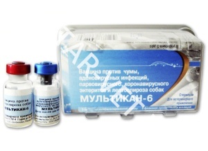 Вакцина Мультикан-6 Вакцина Мультикан-6