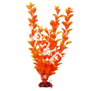Растение "Перистолистник" оранжевая, 20 см, Laguna Растение "Перистолистник" оранжевая, 20 см, Laguna