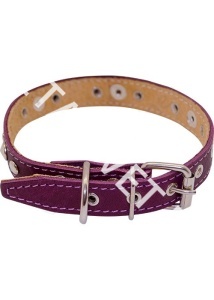 Ошейник 20 мм с подкладом с мет. (019) Ошейник 20 мм с подкладом с мет. (019)